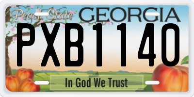 GA license plate PXB1140