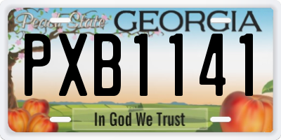 GA license plate PXB1141