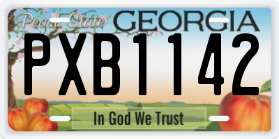GA license plate PXB1142
