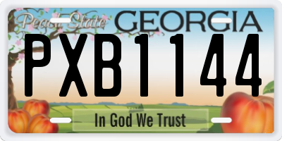 GA license plate PXB1144