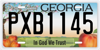 GA license plate PXB1145