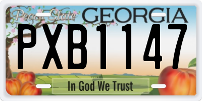 GA license plate PXB1147