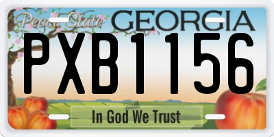 GA license plate PXB1156