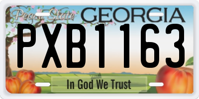 GA license plate PXB1163