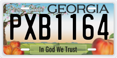 GA license plate PXB1164
