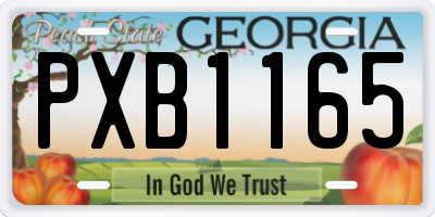 GA license plate PXB1165