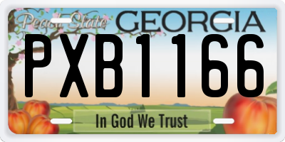 GA license plate PXB1166
