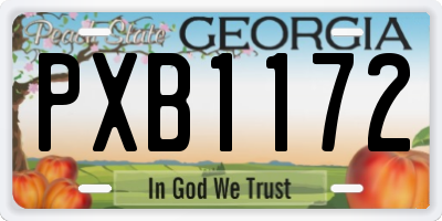 GA license plate PXB1172