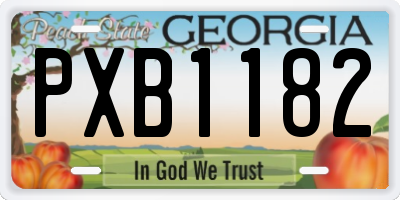GA license plate PXB1182