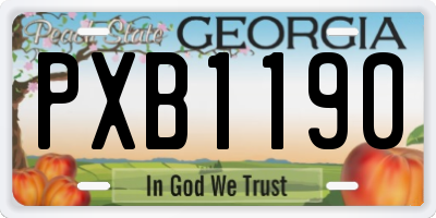 GA license plate PXB1190