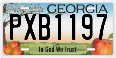 GA license plate PXB1197