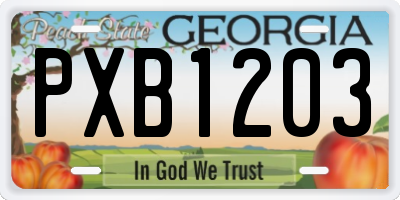 GA license plate PXB1203