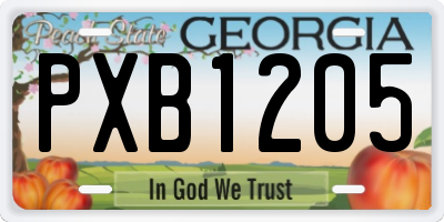 GA license plate PXB1205