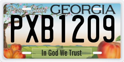 GA license plate PXB1209