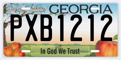 GA license plate PXB1212