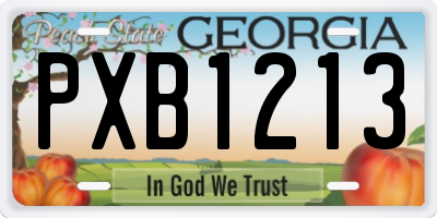 GA license plate PXB1213