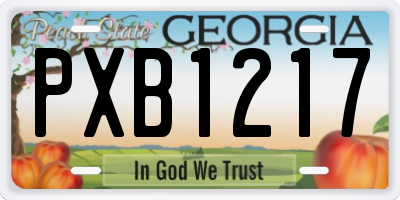 GA license plate PXB1217
