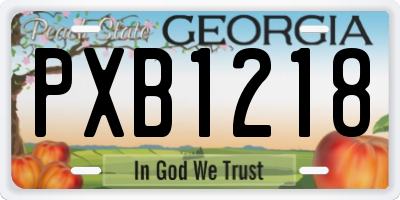 GA license plate PXB1218