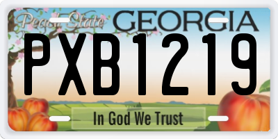 GA license plate PXB1219