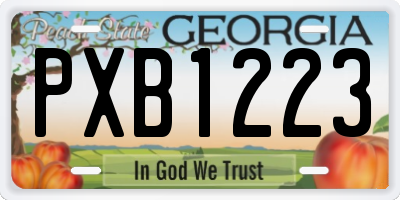 GA license plate PXB1223