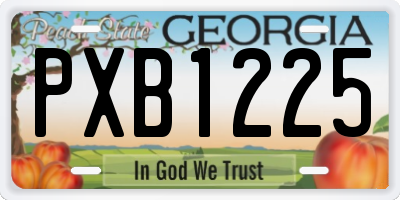 GA license plate PXB1225