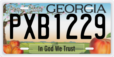 GA license plate PXB1229
