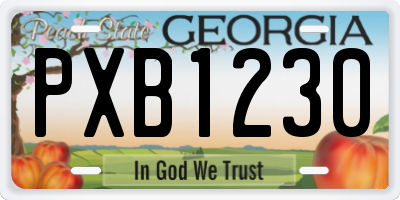 GA license plate PXB1230