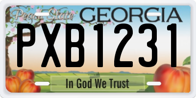 GA license plate PXB1231
