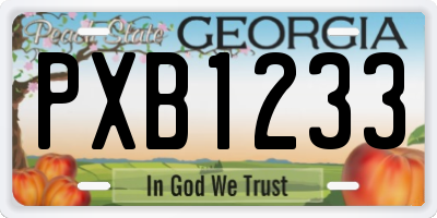 GA license plate PXB1233