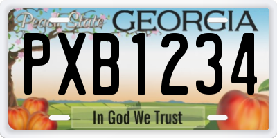 GA license plate PXB1234
