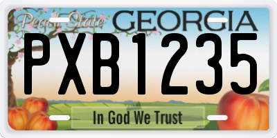 GA license plate PXB1235