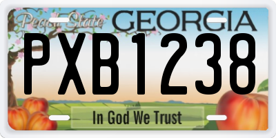 GA license plate PXB1238