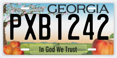 GA license plate PXB1242
