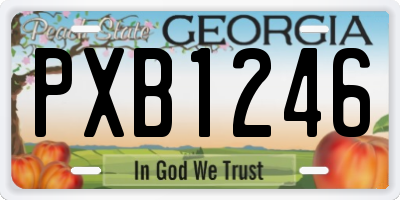 GA license plate PXB1246