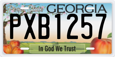 GA license plate PXB1257