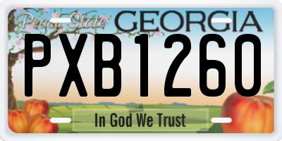 GA license plate PXB1260