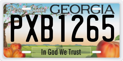 GA license plate PXB1265