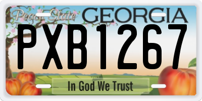 GA license plate PXB1267