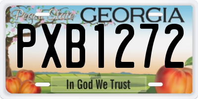 GA license plate PXB1272