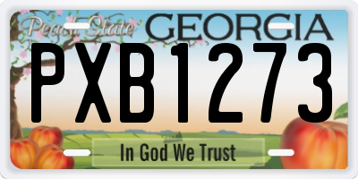 GA license plate PXB1273