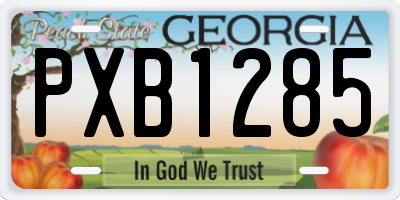 GA license plate PXB1285