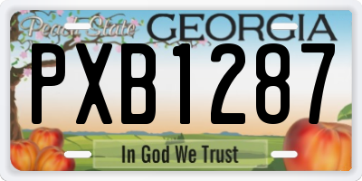 GA license plate PXB1287
