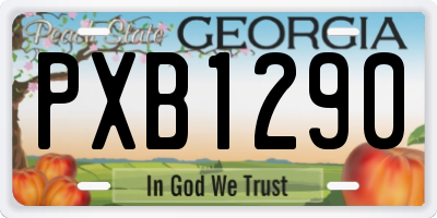 GA license plate PXB1290