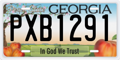 GA license plate PXB1291