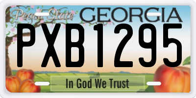 GA license plate PXB1295