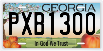 GA license plate PXB1300