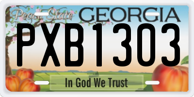 GA license plate PXB1303
