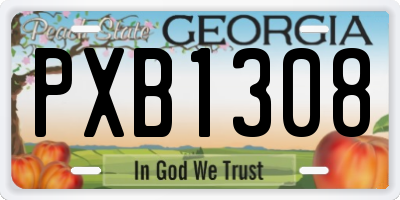 GA license plate PXB1308