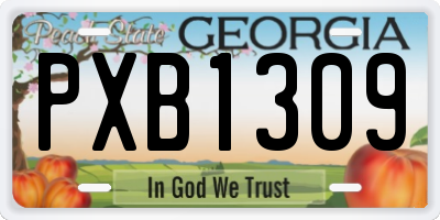 GA license plate PXB1309