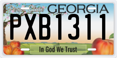 GA license plate PXB1311